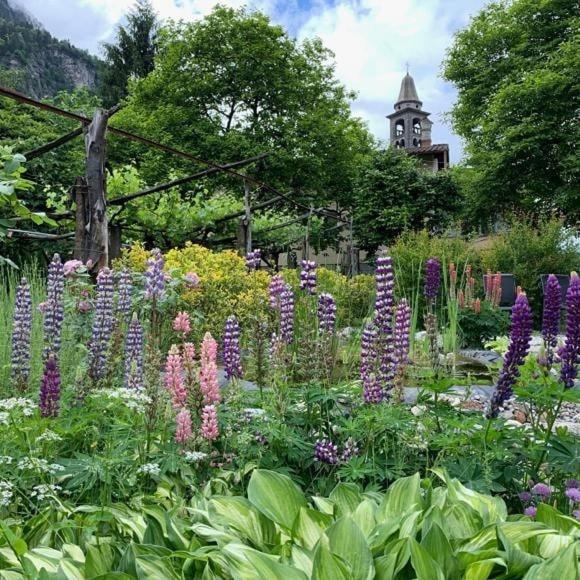 Grotto Pergola Bed & Breakfast Giornico Dış mekan fotoğraf